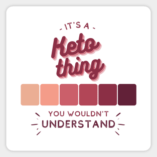It's a Keto Thing - You Wouldn't Understand Sticker